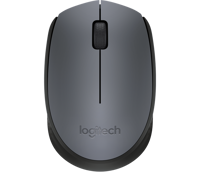 Picture of Logitech M170
