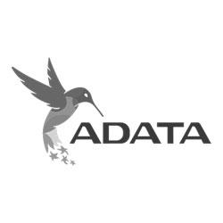 Picture for manufacturer AData
