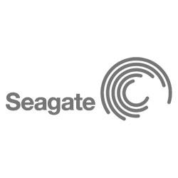 Picture for manufacturer Seagate