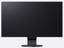 Picture of Eizo FlexScan EV2451 BK