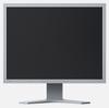 Picture of Eizo FlexScan S2133-GY